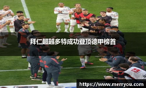 3377体育官网入口