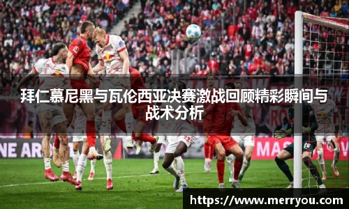 3377体育官网入口